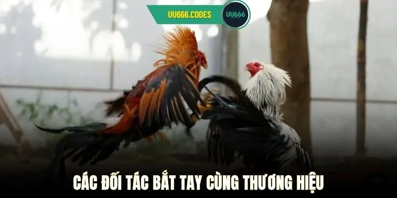 Các đối tác bắt tay cùng thương hiệu